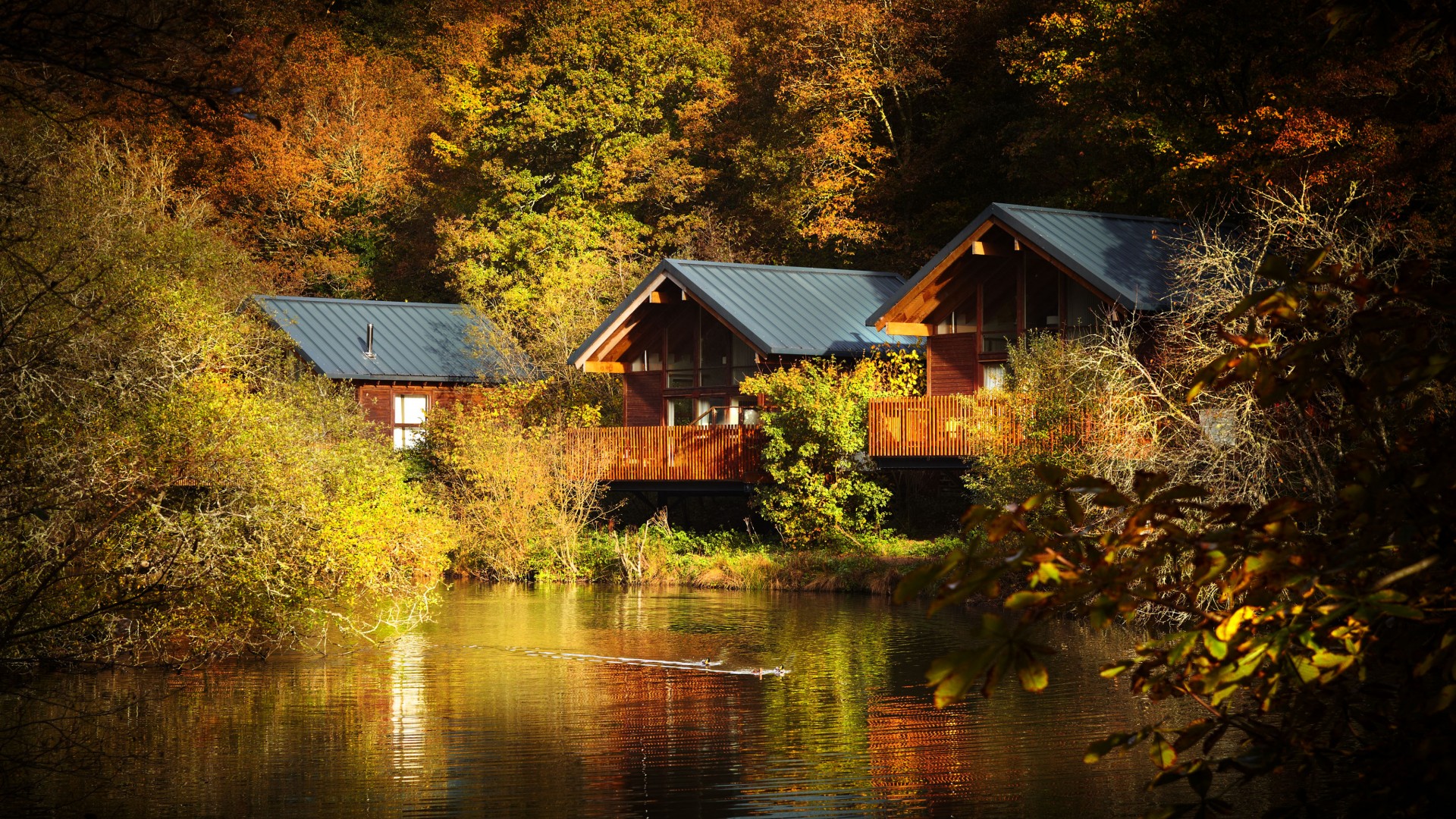 Win a threenight break at Forest Holidays for you and up to three