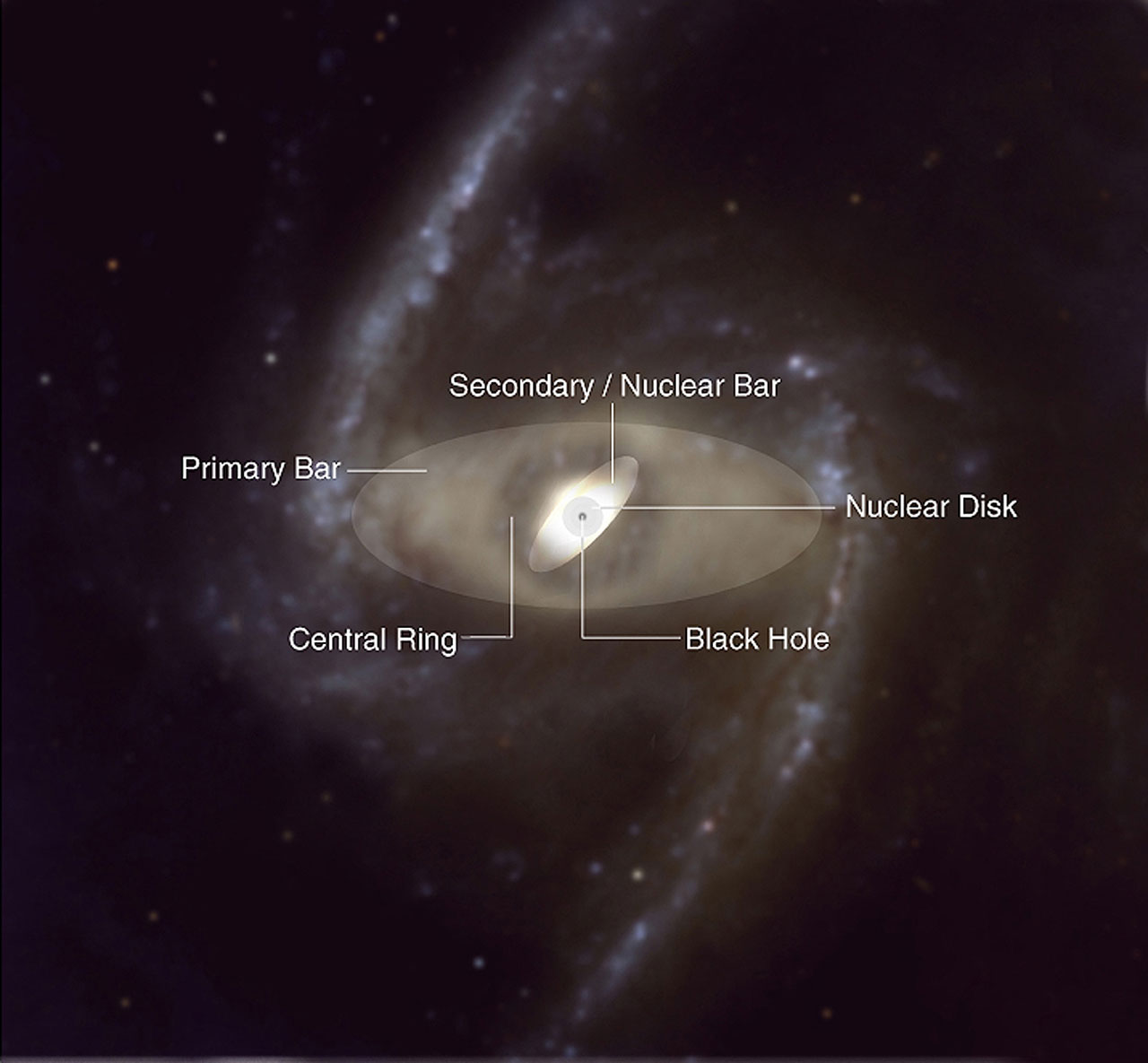 Structural components of a doublebarred spiral galaxy ESO