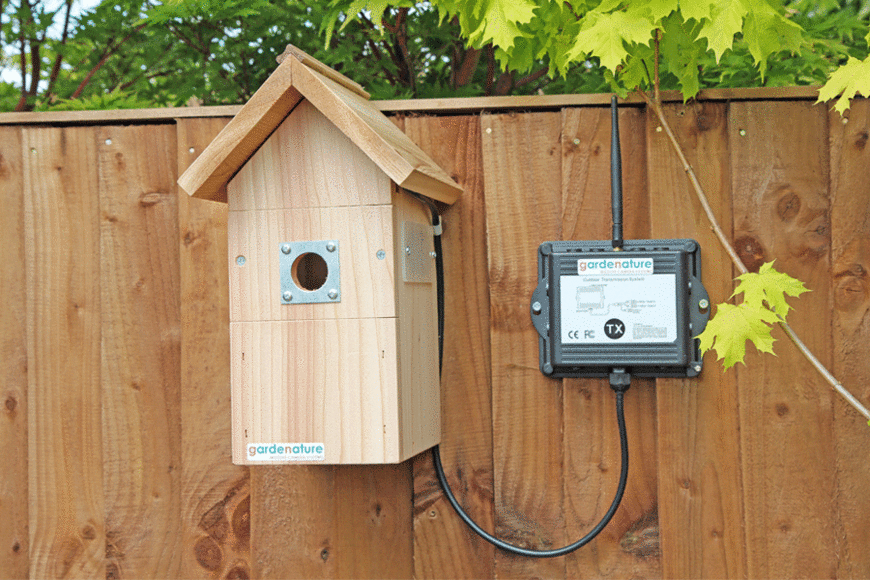 Wireless camera nest box Gardenature
