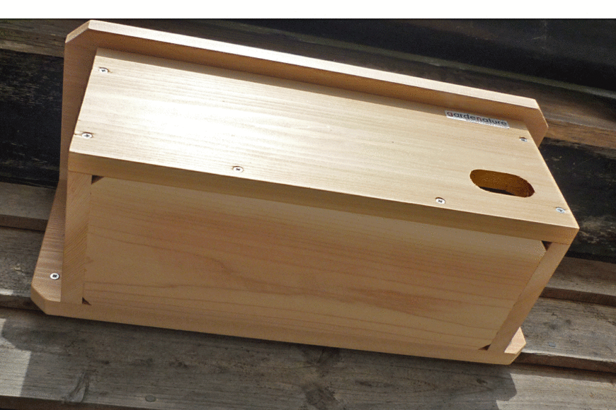Swift Box with Camera | Gardenature