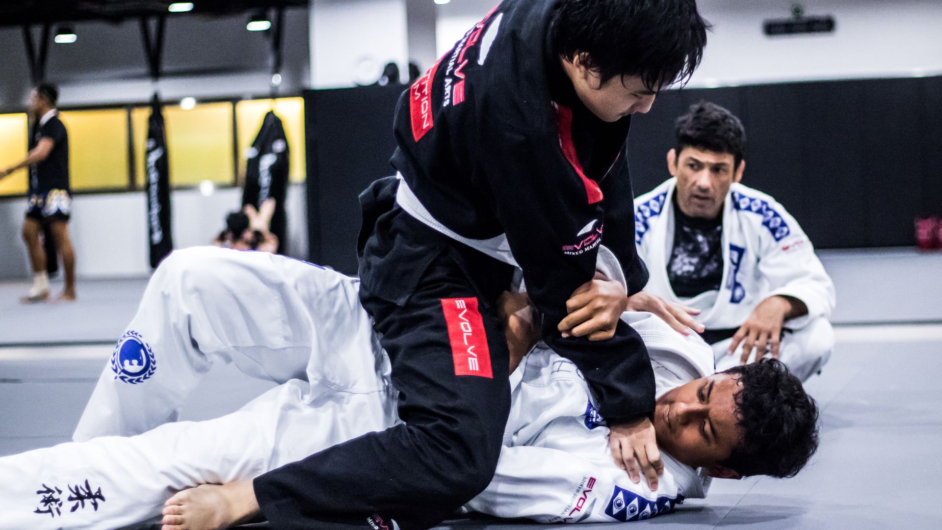 Fitness & Health Archives Evolve Daily