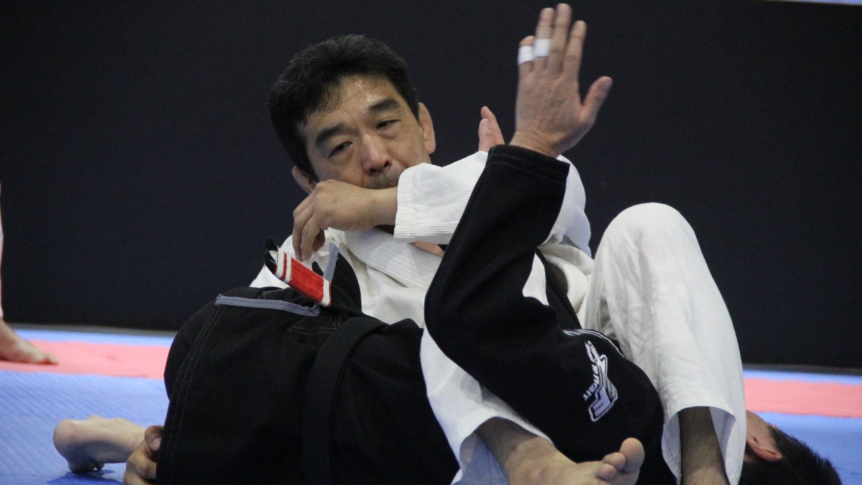Top 5 Greatest Japanese BJJ Fighters In History Evolve Daily