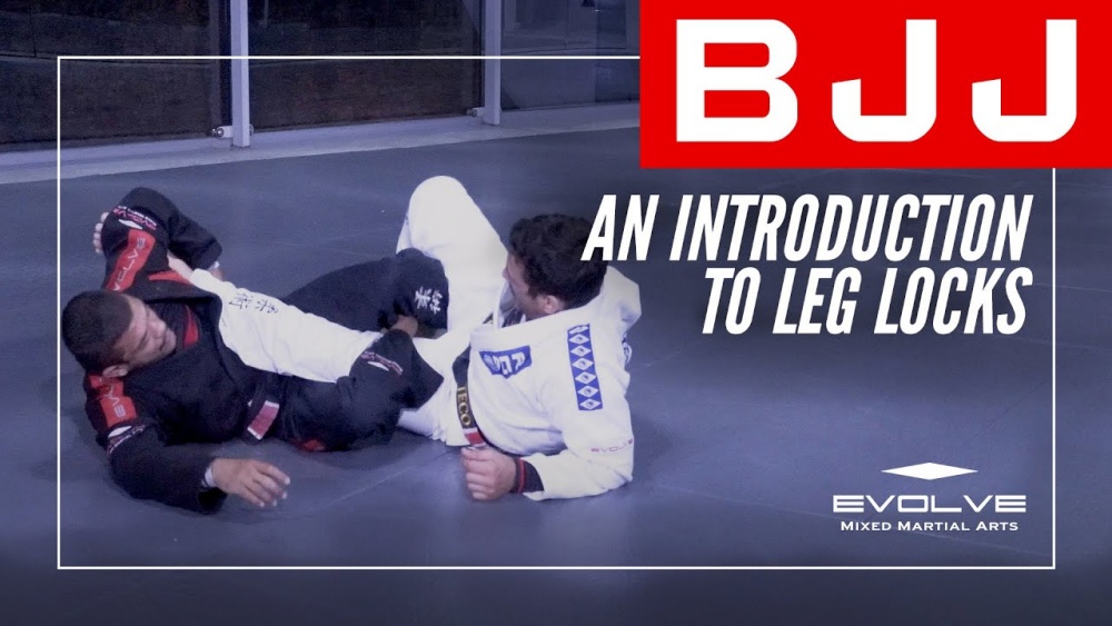 BJJ An Introduction To Leg Locks Evolve University