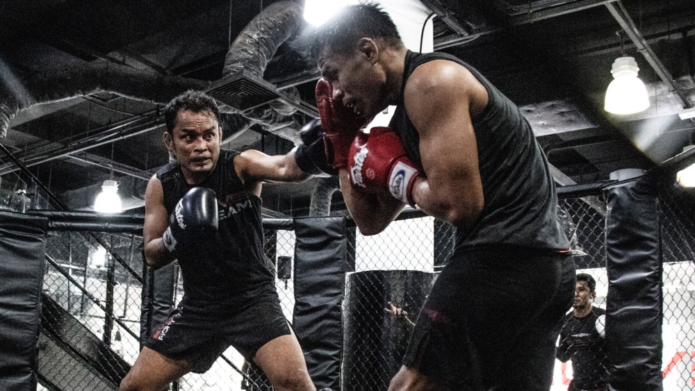 A Beginner’s Guide To MMA Sparring Evolve University