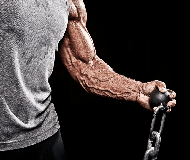 Forearm Workout Plan