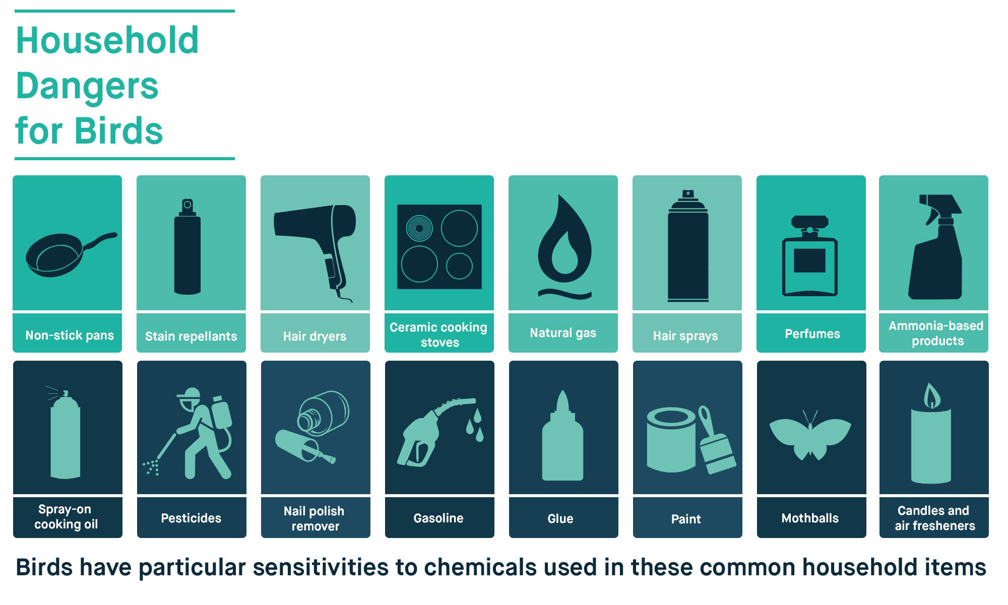 Home Safety Guide for Pet Owners The Lucky Pup