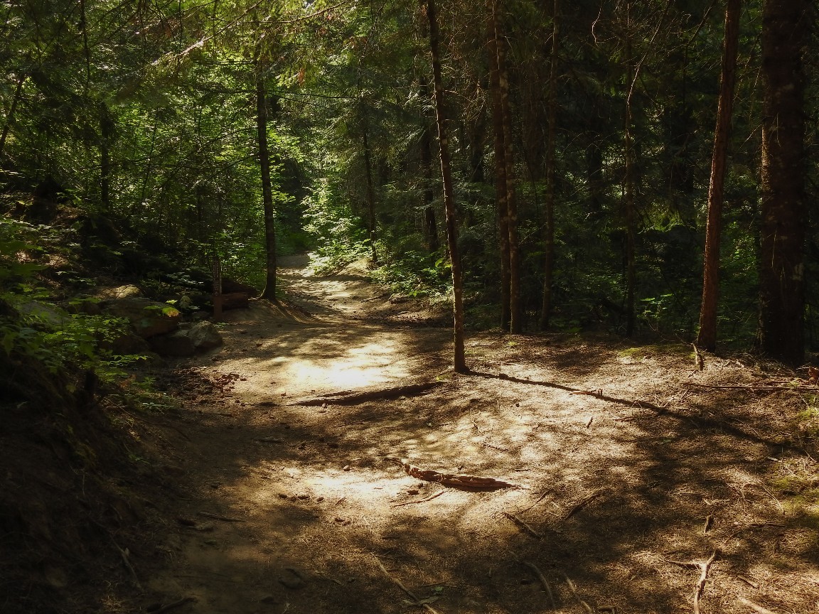 Hiking the Liberty Lake Loop Trail Explore Washington State