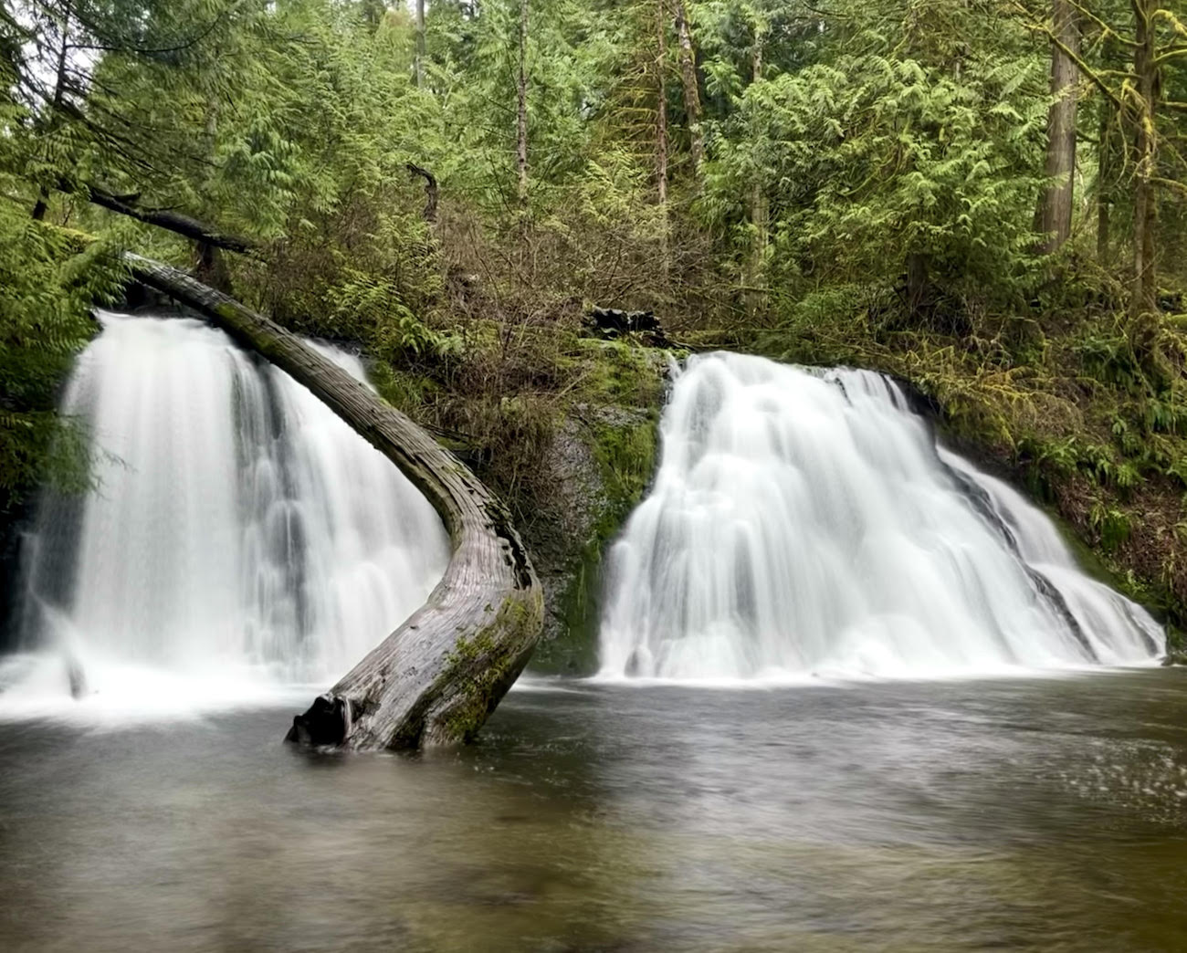 Conquering Cherry Creek Falls Explore Washington State