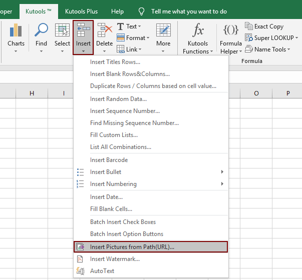 Easily insert or display images from URLs or file paths in Excel
