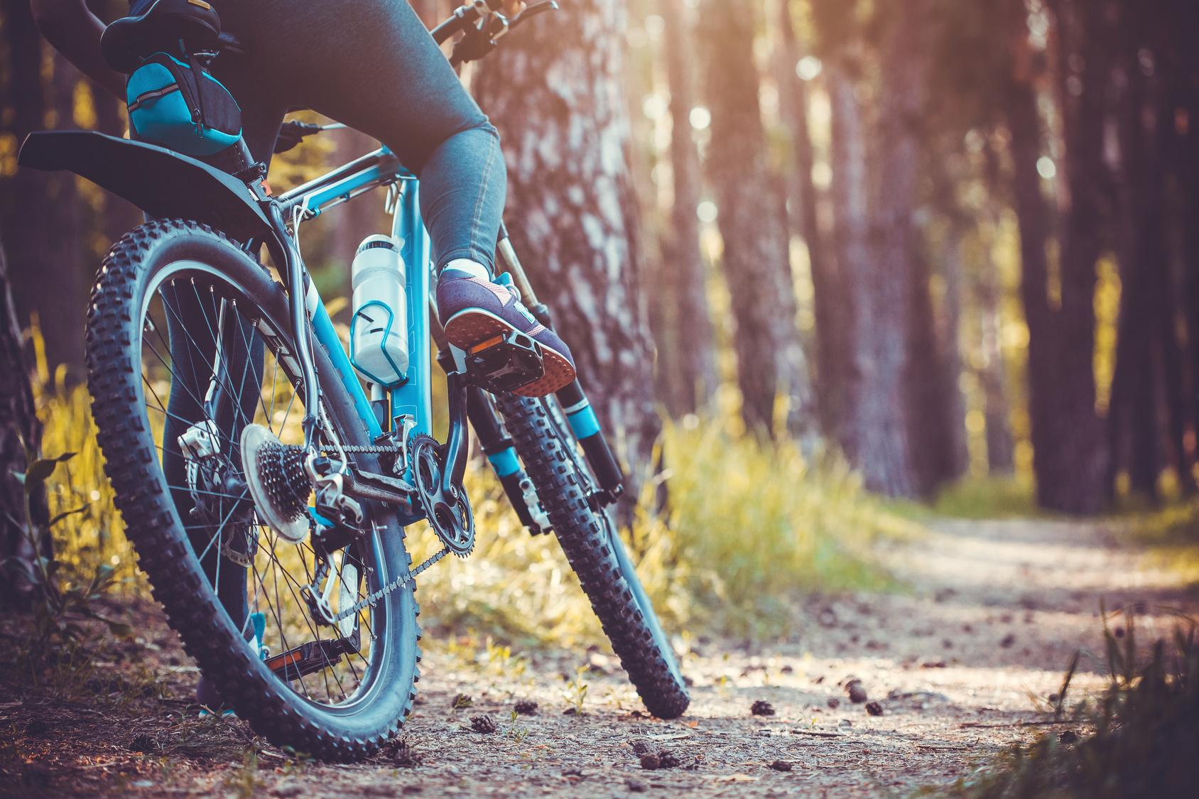 Best Spring Bike Trails In New Jersey