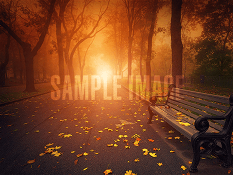 General Information Fisk Funeral Home & Crematory Saint Cloud, FL