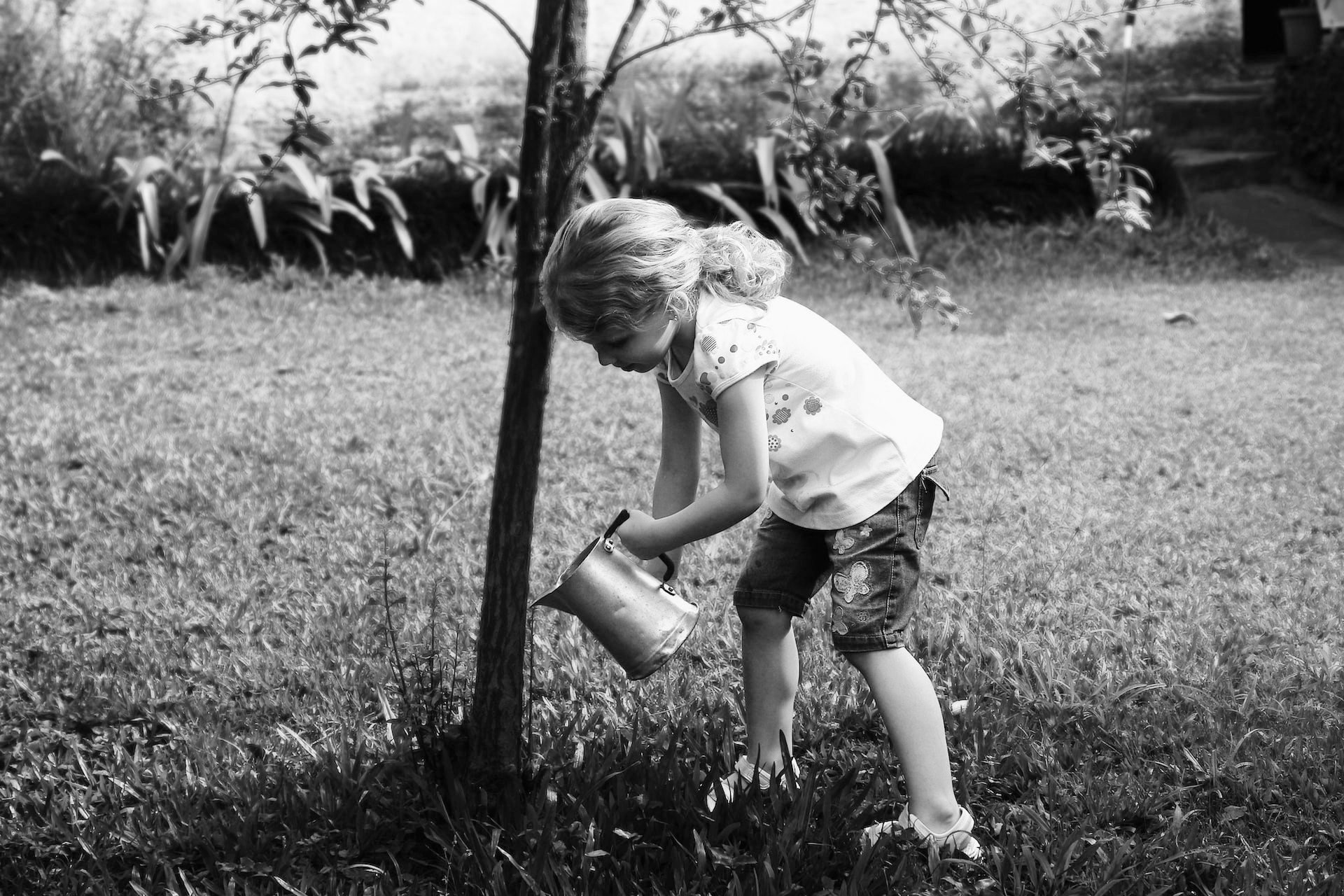 How to Choose a Memorial Tree HolderWells Funeral Home Moss Point, MS