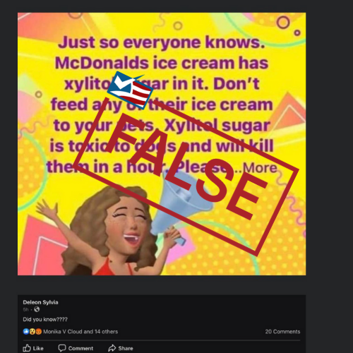 McDonald's Ice Cream Isn't Toxic for Dogs, Contrary to Viral Posts