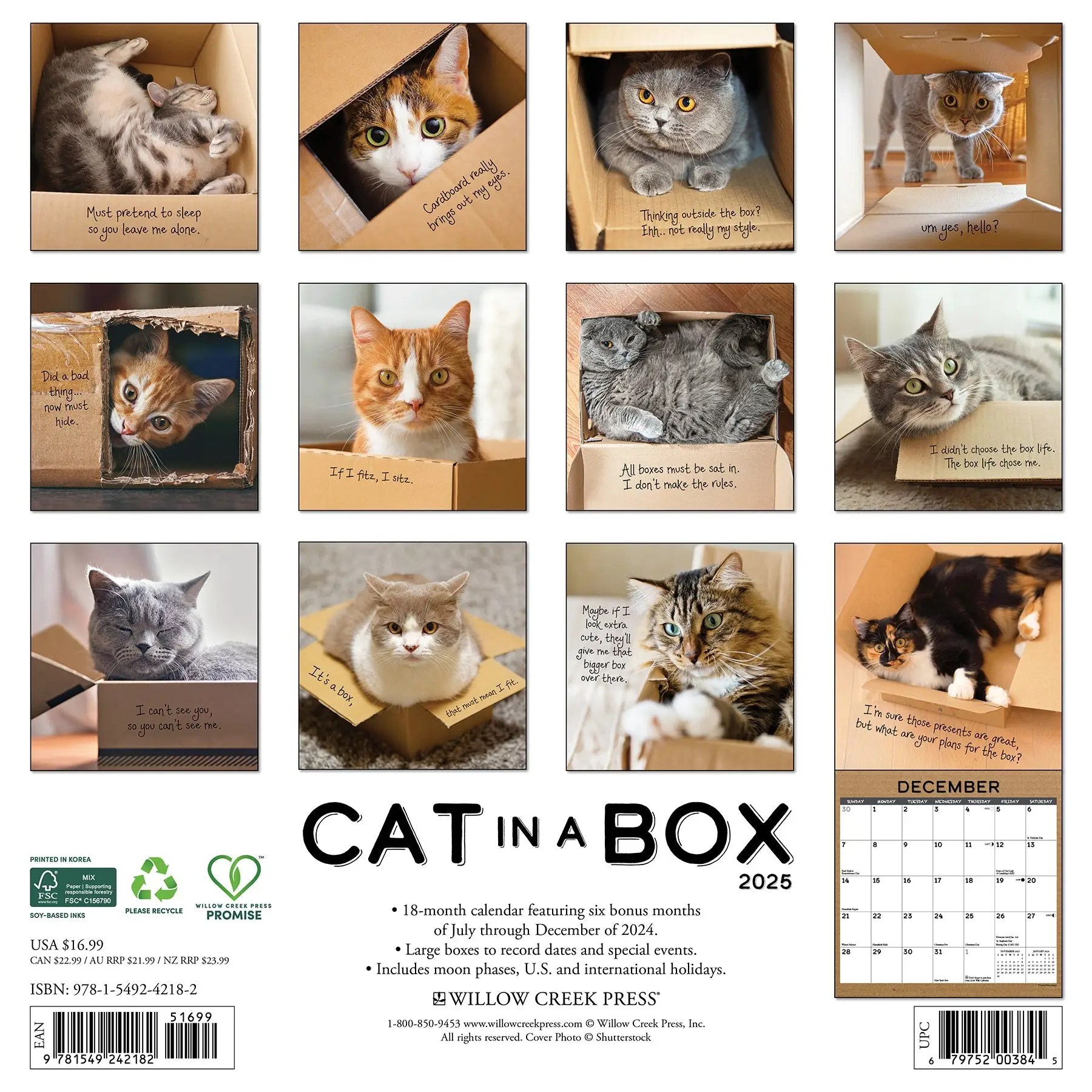Wholesale Cat in a Box 2025 Wall Calendar for your store Faire