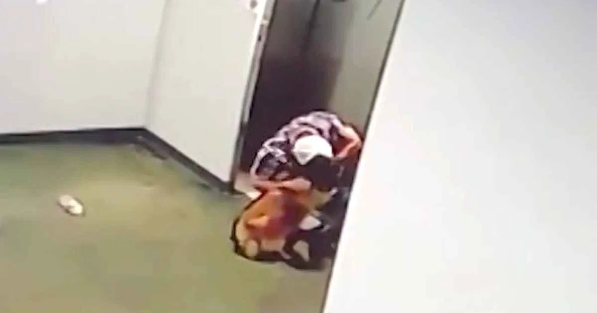 QuickThinking Neighbor Helps Rescue Dog After Leash Is Caught In