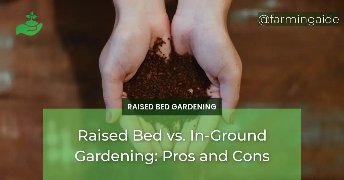 Raised Bed vs. InGround Gardening Pros and Cons