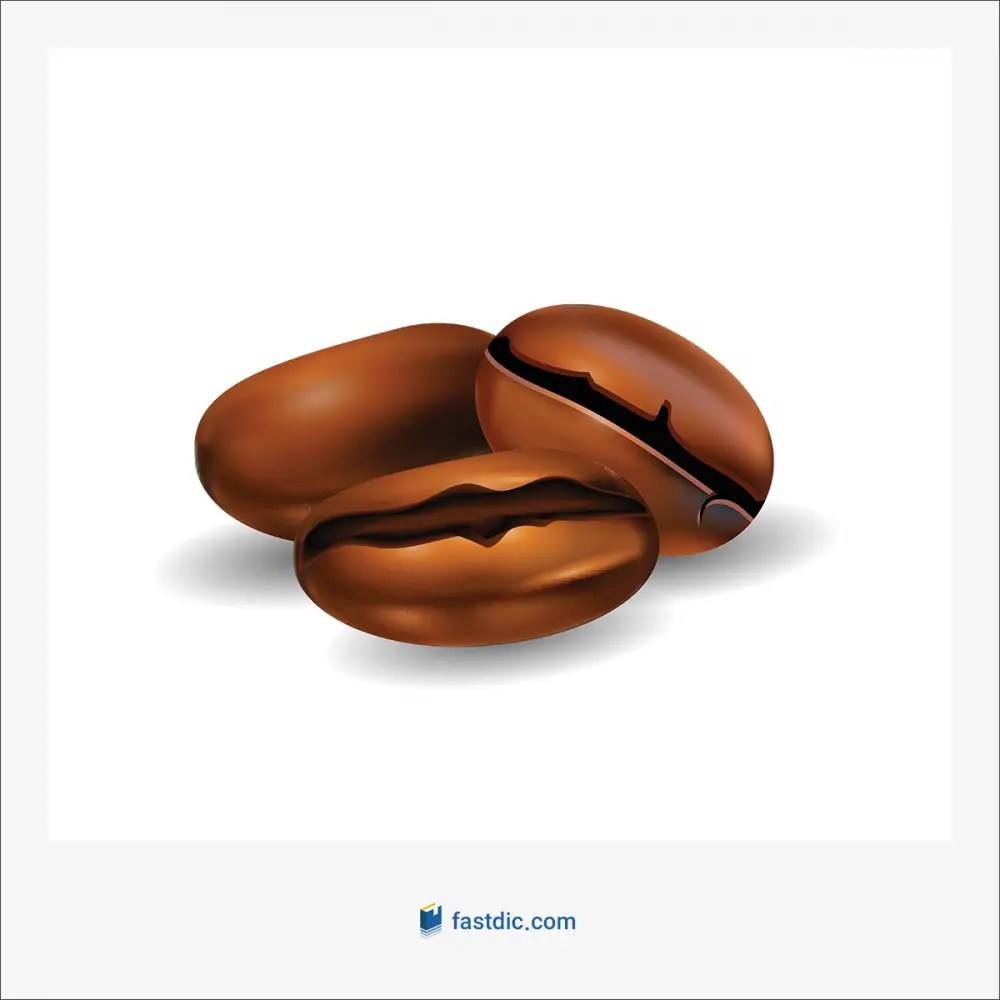 معنی coffee bean به فارسی فست دیکشنری
