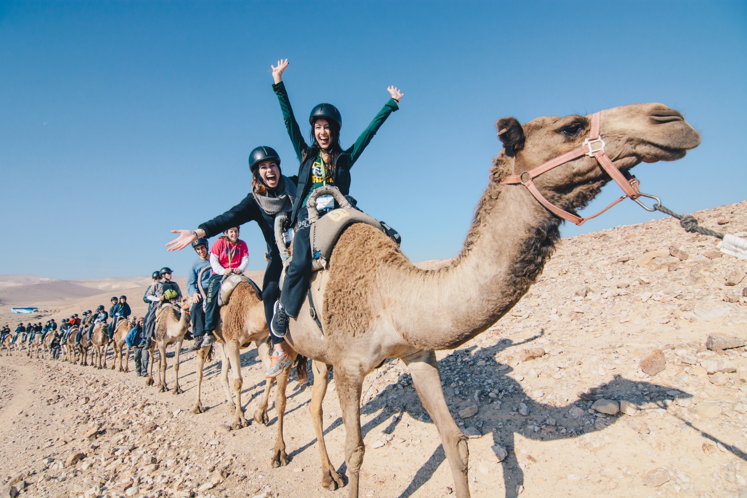 Birthright Israel Summer 2023 Birthright Israel Expands Eligibility To Include 27 To 32 Year Olds | Jewish Federation Of San Diego County