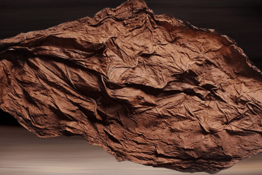 The Different Types of Grabba Leaf and Their Characteristics