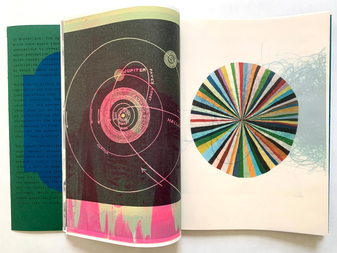 Julie Wolfe Wonderland The Optical Unconscious Printed Matter