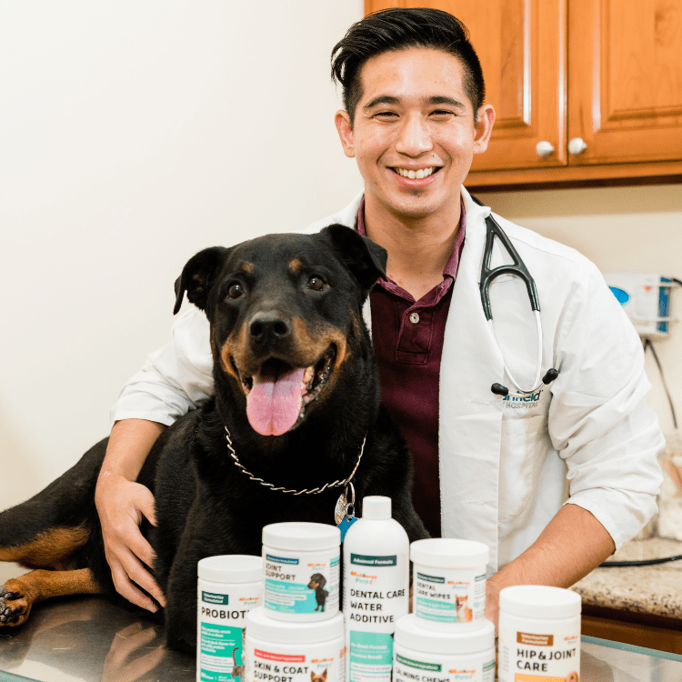 Anti Diarrhea for Dogs and Cats Dogly