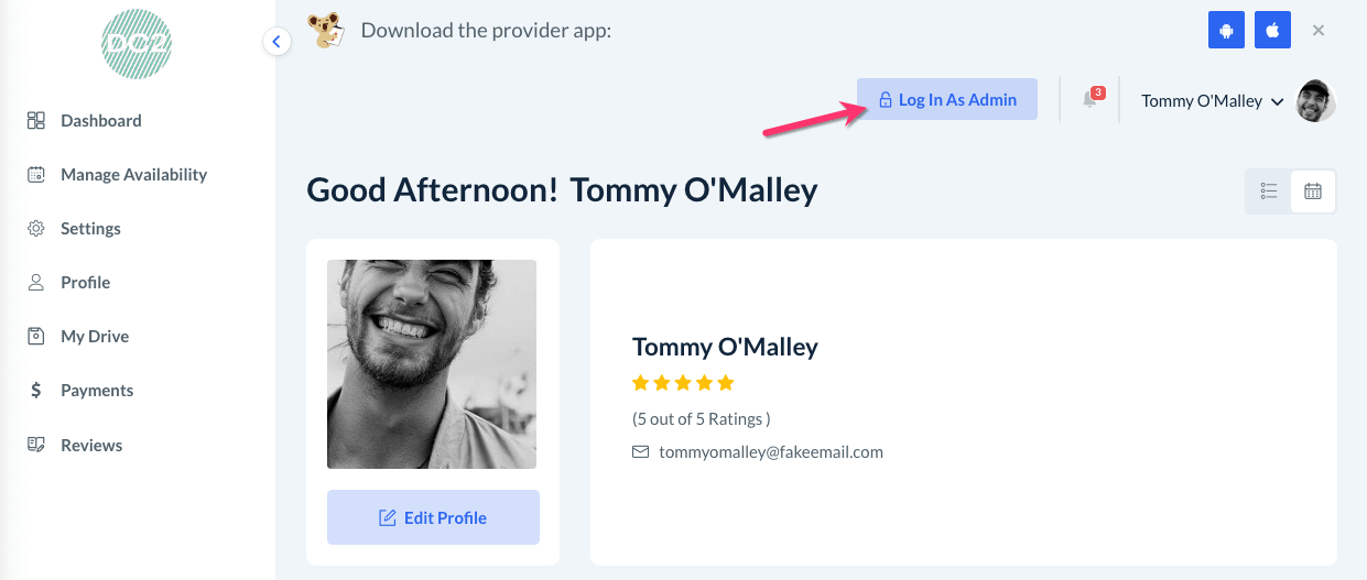 Log in as a customer or provider