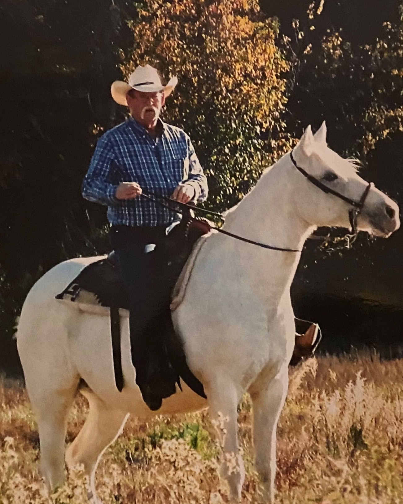 Billy Adams Obituary 2022 Rose Neath Funeral Homes