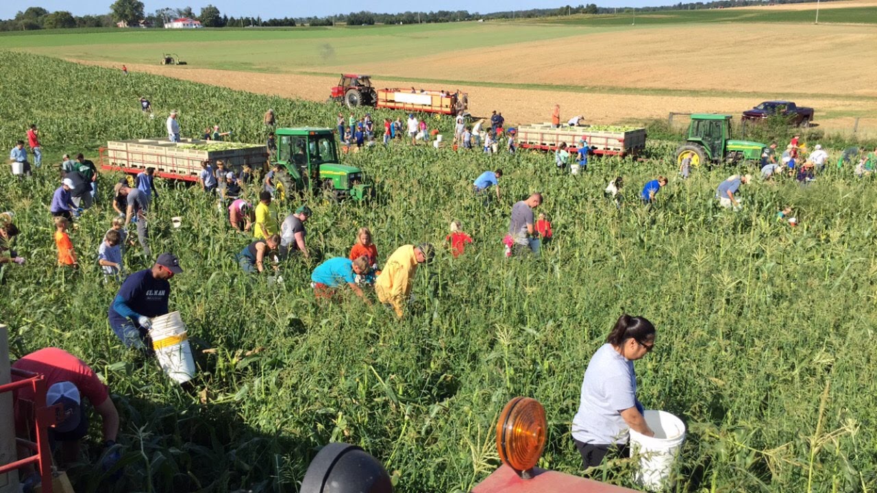 AdoptABox 2022 First Fruits Farm (Powered by Donorbox)