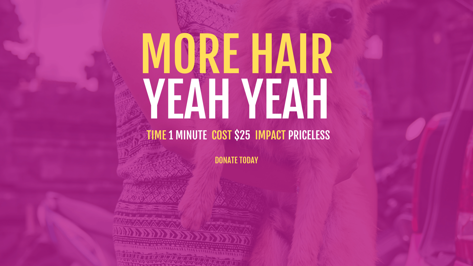 MORE HAIR. YEAH YEAH! Mission Paws'ible Charity Pty Ltd