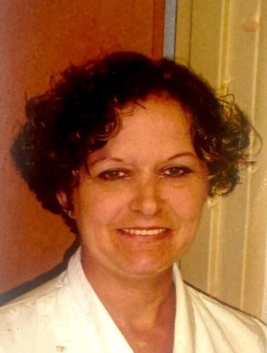 Karen Willis Obituary 2021 Delancey Funeral Home