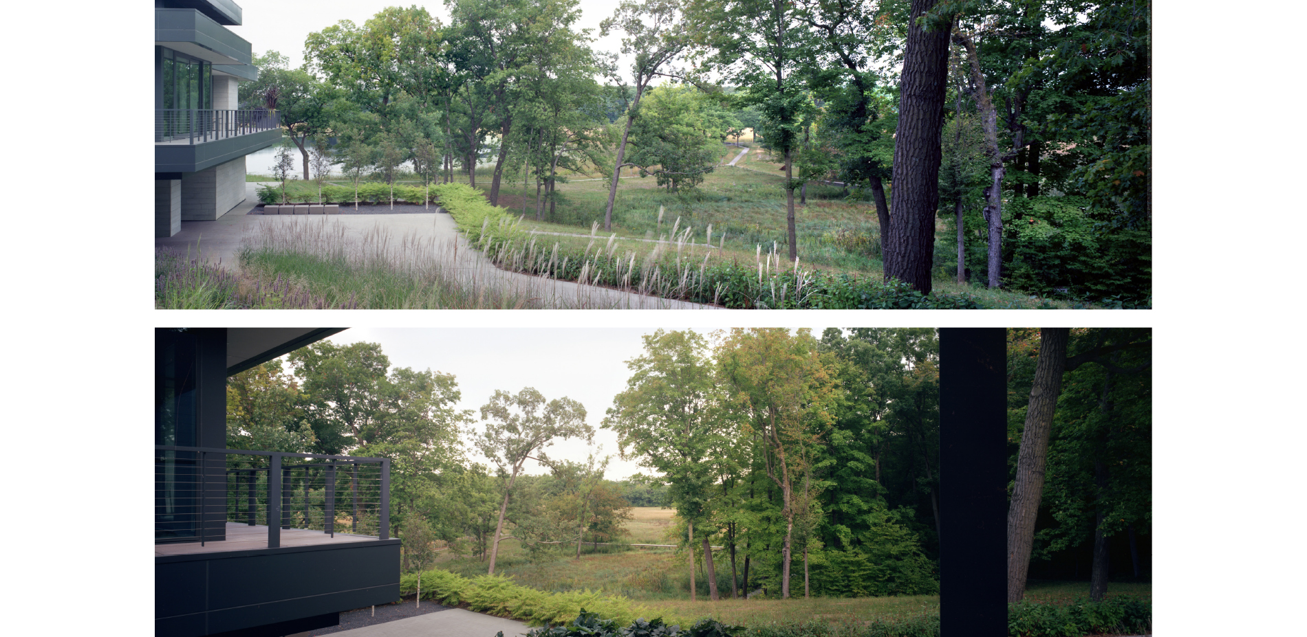 Lake Marion Residence Connecting Art and Ecology ASLA 2020