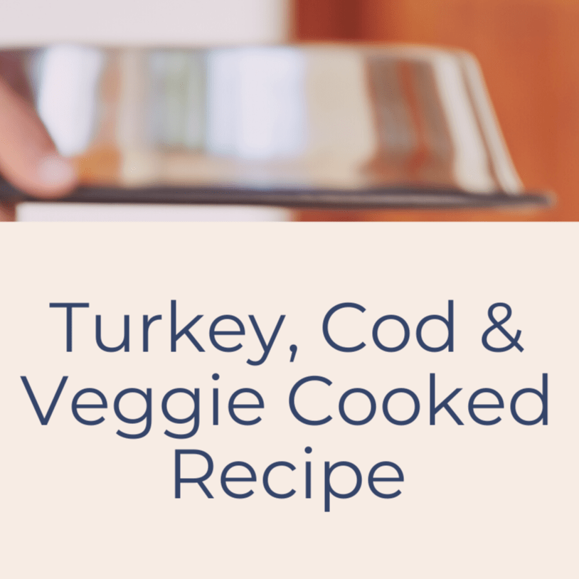 A Canine Nutritionist's Favorite Ground Turkey Dog Food Recipe for 35 lb Dog Dogly