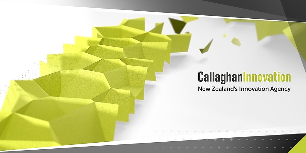Christchurch Networking Event Callaghan Innovation
