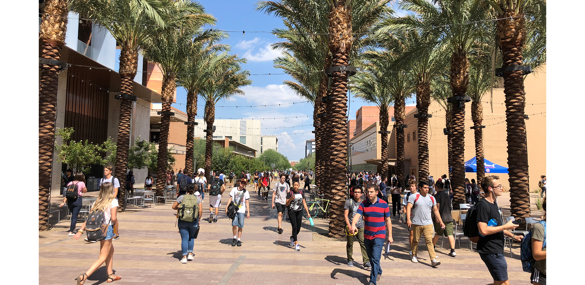 Orange Mall Green Infrastructure ASLA 2021 Professional Awards