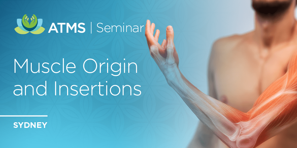 Muscles Origin & Insertions Sydney, North Ryde, 11th of September