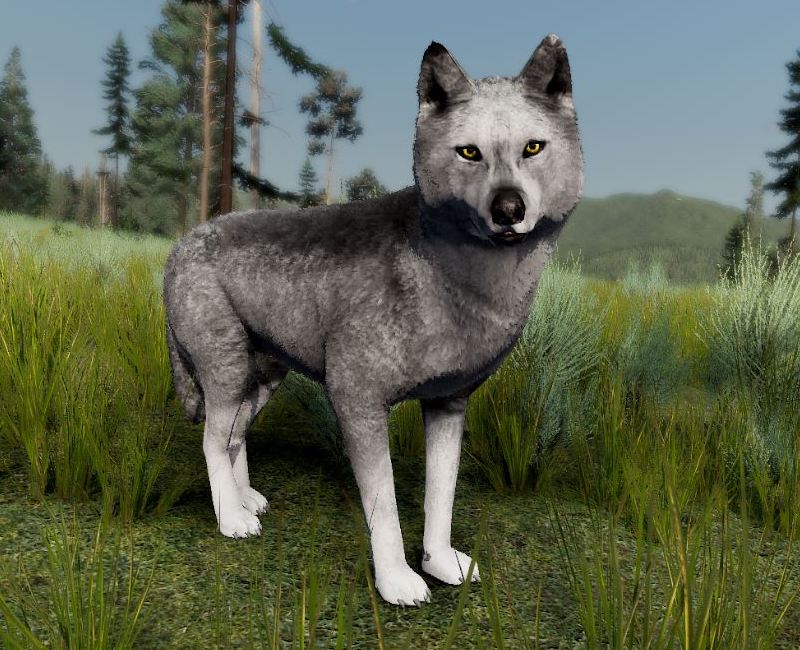 Yellowstone Wolf Coat DLC