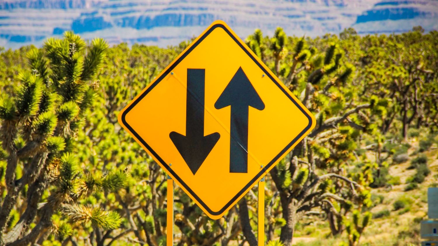 Rothschild is hiring whilst it's firing