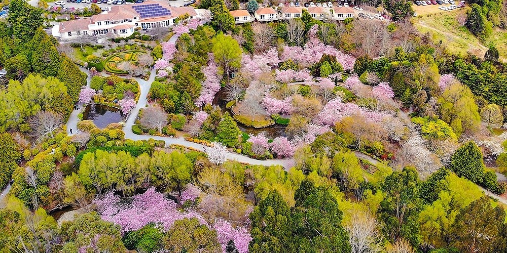 Blossom Valley Saturday 1 Oct, Upper Hutt, Sat 1st Oct 2022, 800 am