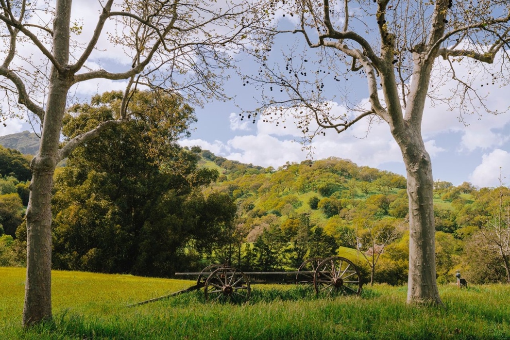 Diablo Valley Real Estate in 2020 Compass