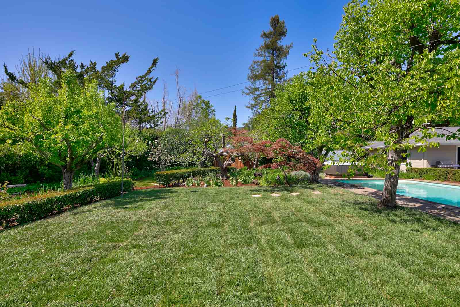 New Listing in Sleepy Hollow! 1349 Butterfield Road, San Anselmo San Anselmo Homes For Sale
