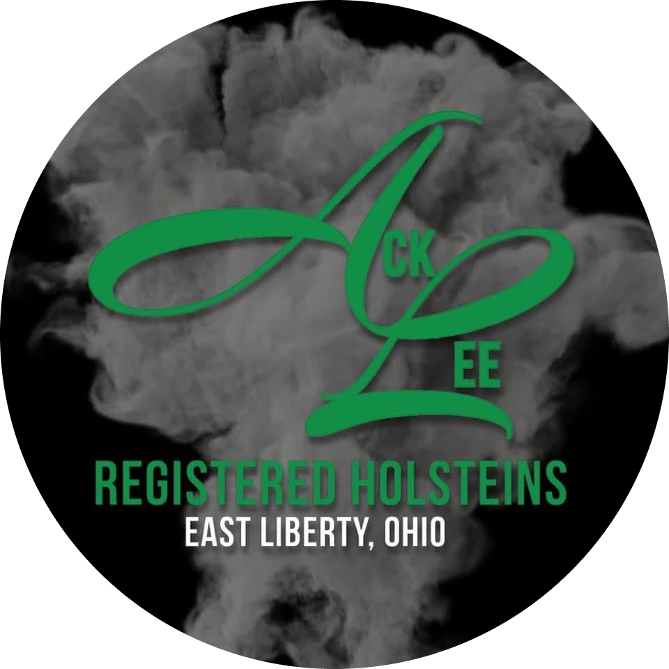 Most Recent Obituaries Wilson Funeral Homes