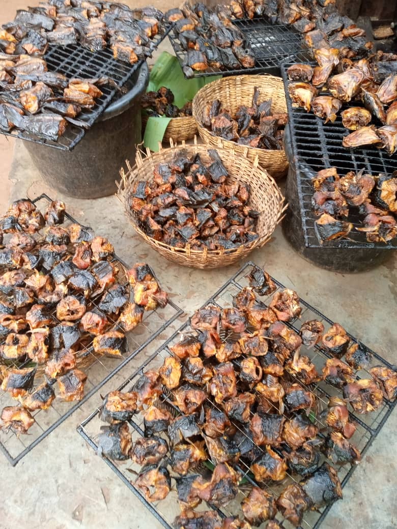 Handy Pack, Medium Size Fish Haven Flutterwave Store