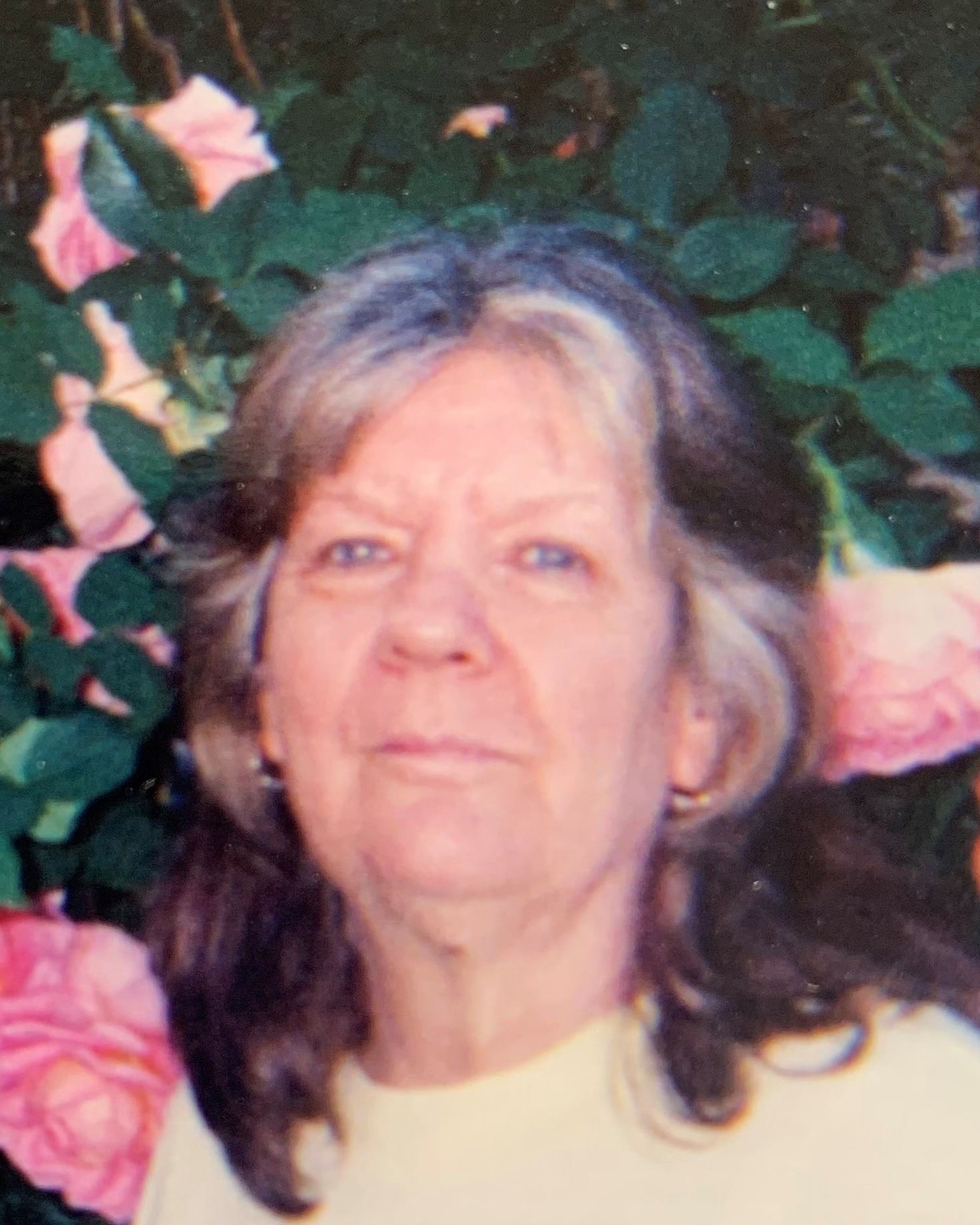 Carolyn Bermudez Obituary 2022 Slone and Co. Funeral Directors