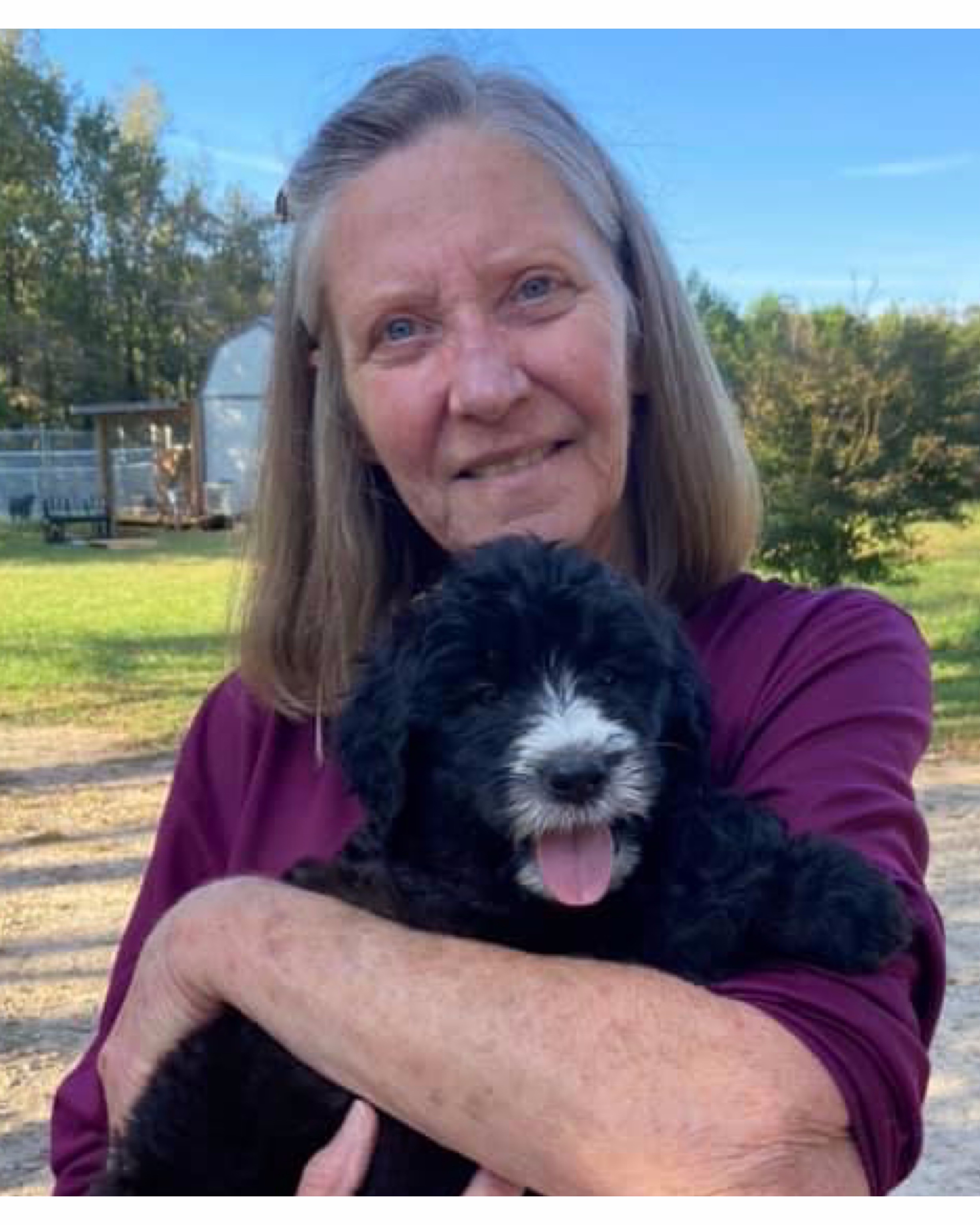 Cassandra Stowe Marconi Obituary 2022 W R Strickland & Sons Funeral Home