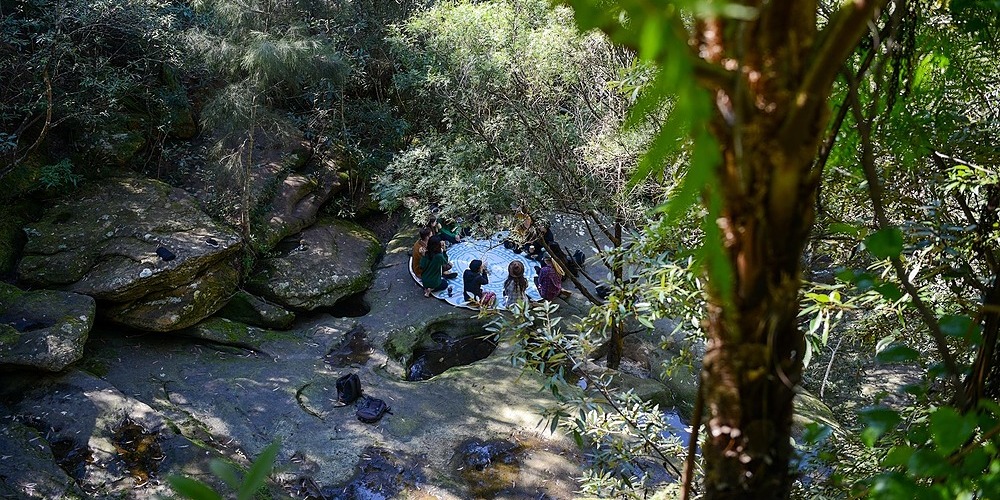 Forest Therapy Nature Tours (Warriewood Wetlands / Irrawong Reserve