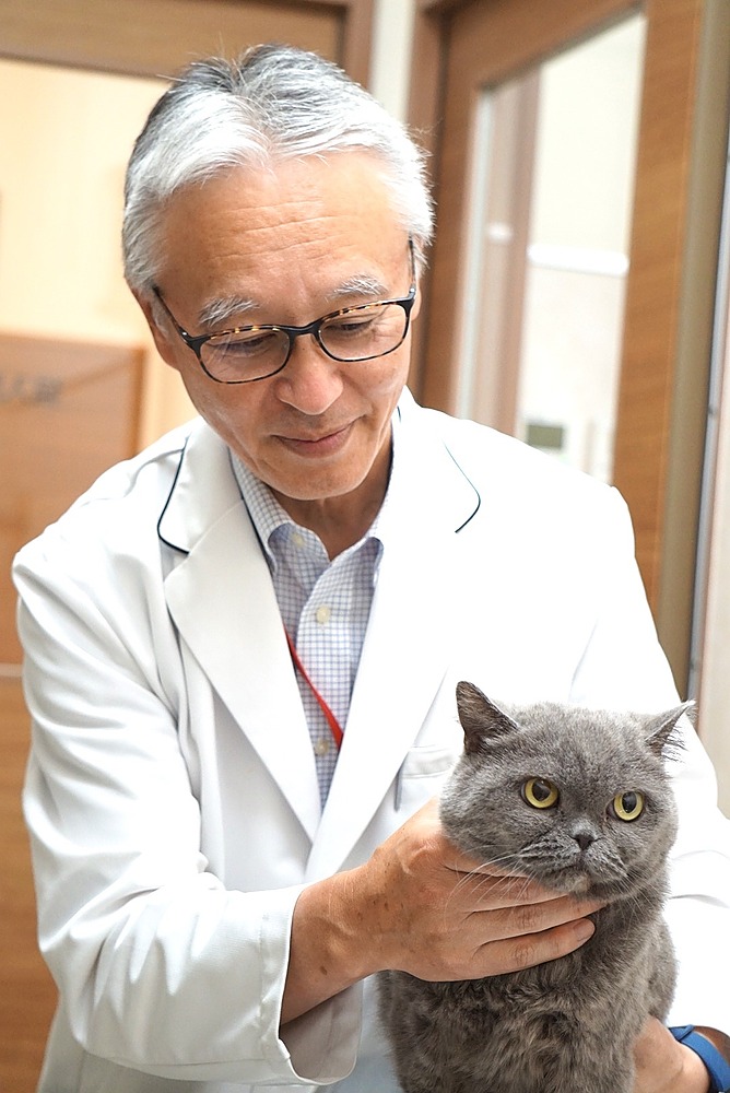 Info Session Understanding the Japan Pet food Market for Australian