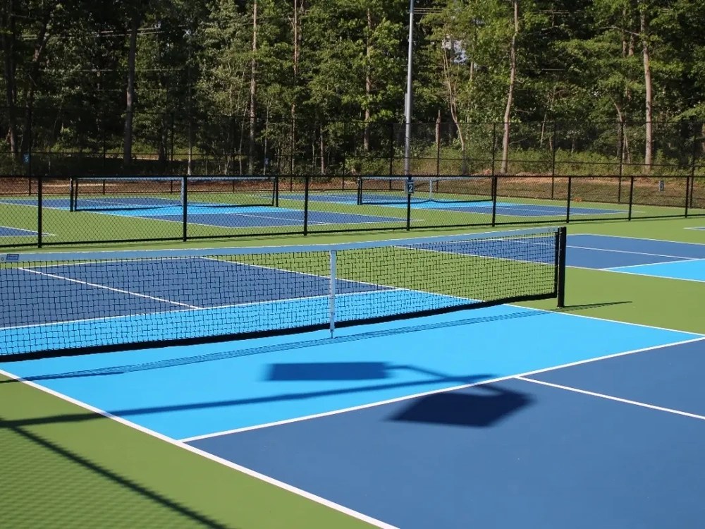 Play Pickleball at Wardell Park Court Information Pickleheads