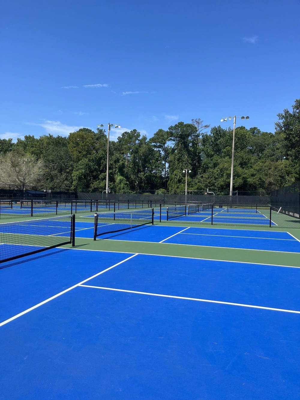 Play Pickleball at Argyle Forest Park Court Information Pickleheads