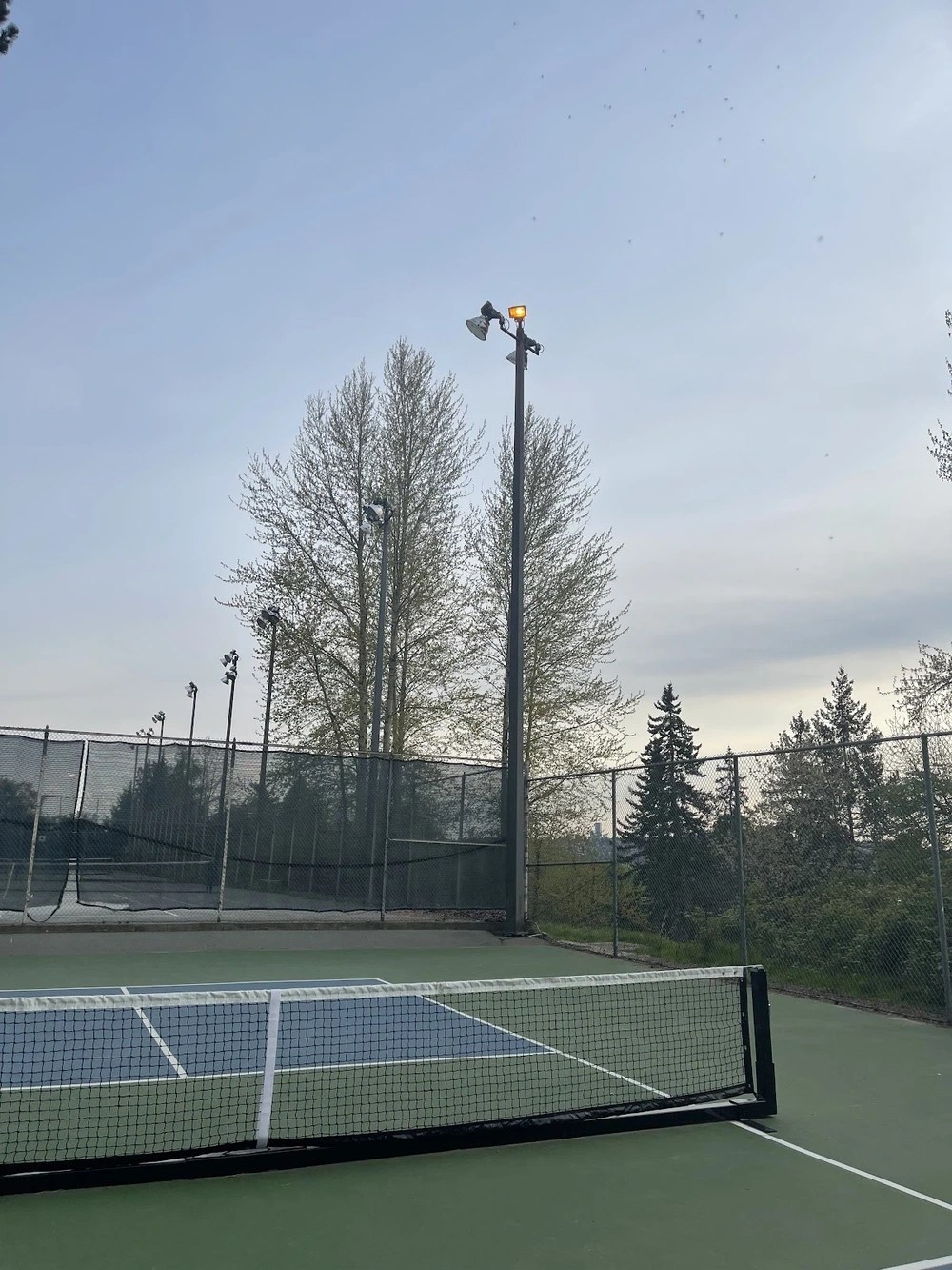 Play Pickleball at Laurelhurst Pickleball Court Court Information