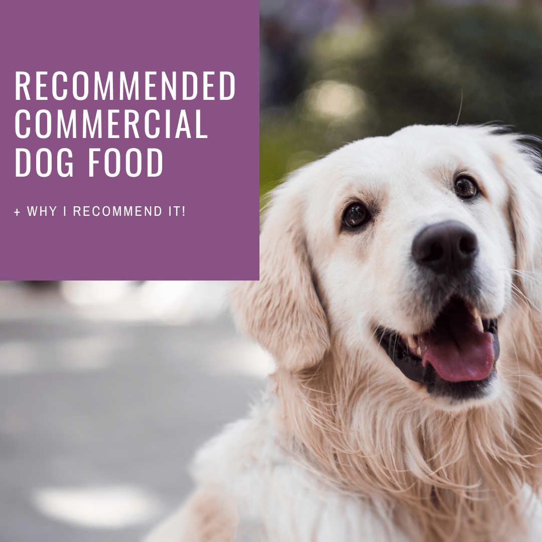 My Commercial Dog Food Brands Raw & Cooked Dogly